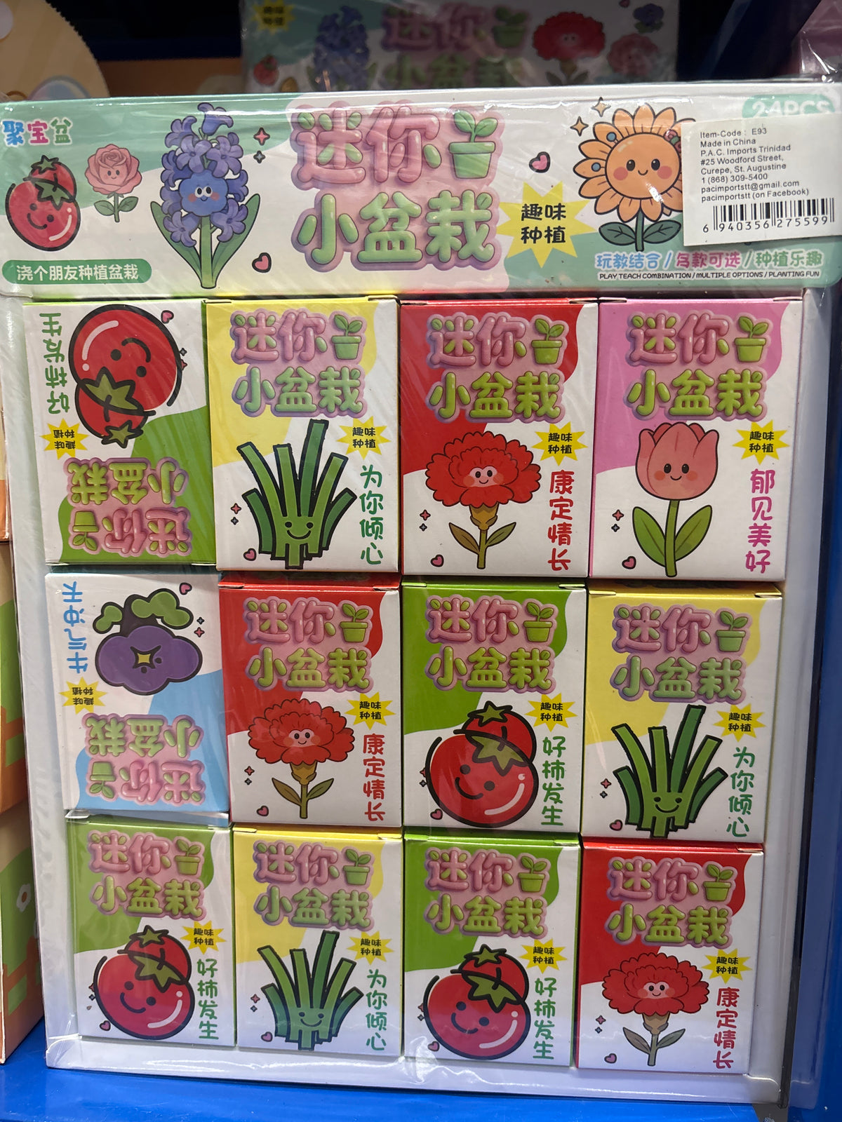 E93-Diy Fruits/Flowers (Grow it on your own)(24PCs box$120)