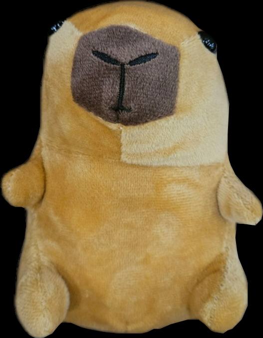 W717 - CAPIBARA STUFF TOY