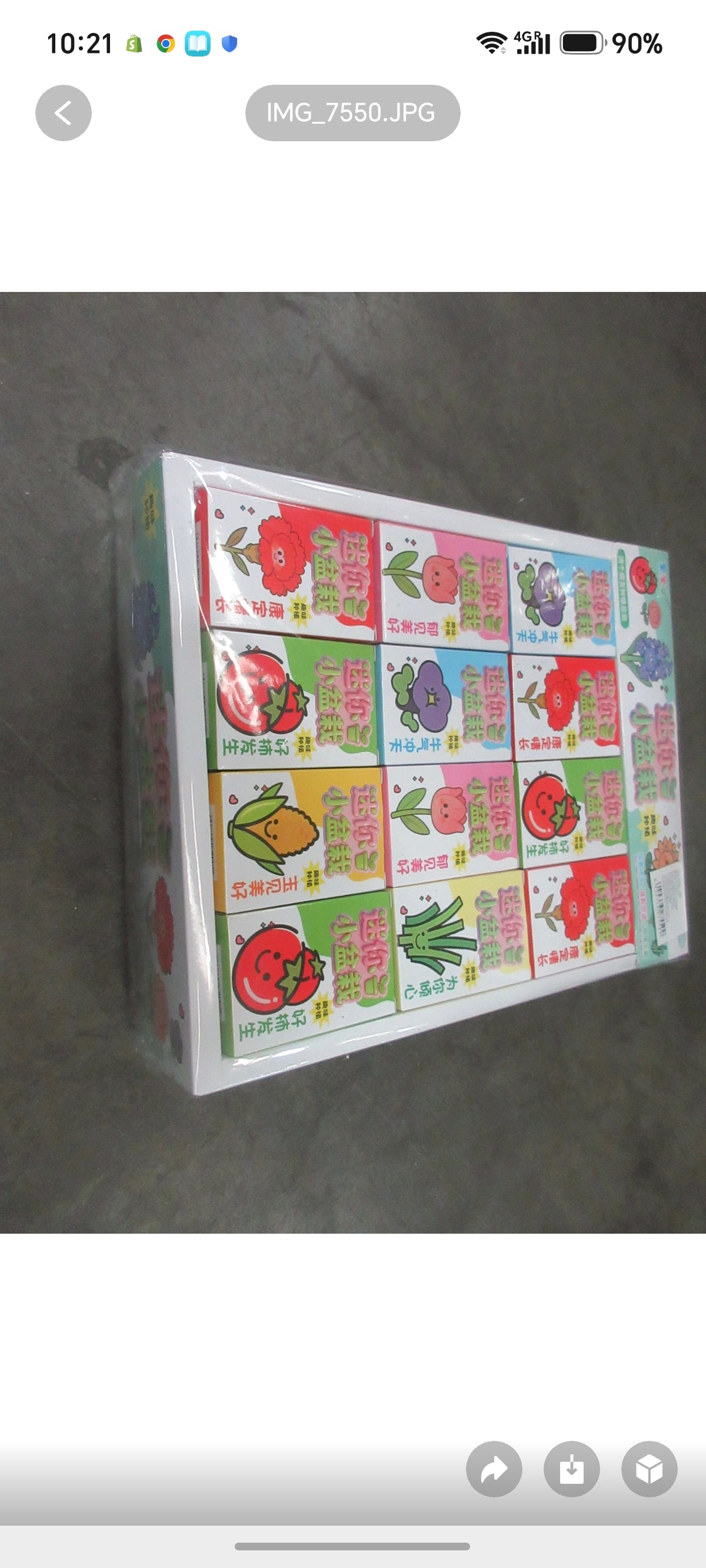 E93-Diy Fruits/Flowers (Grow it on your own)(24PCs box$120)