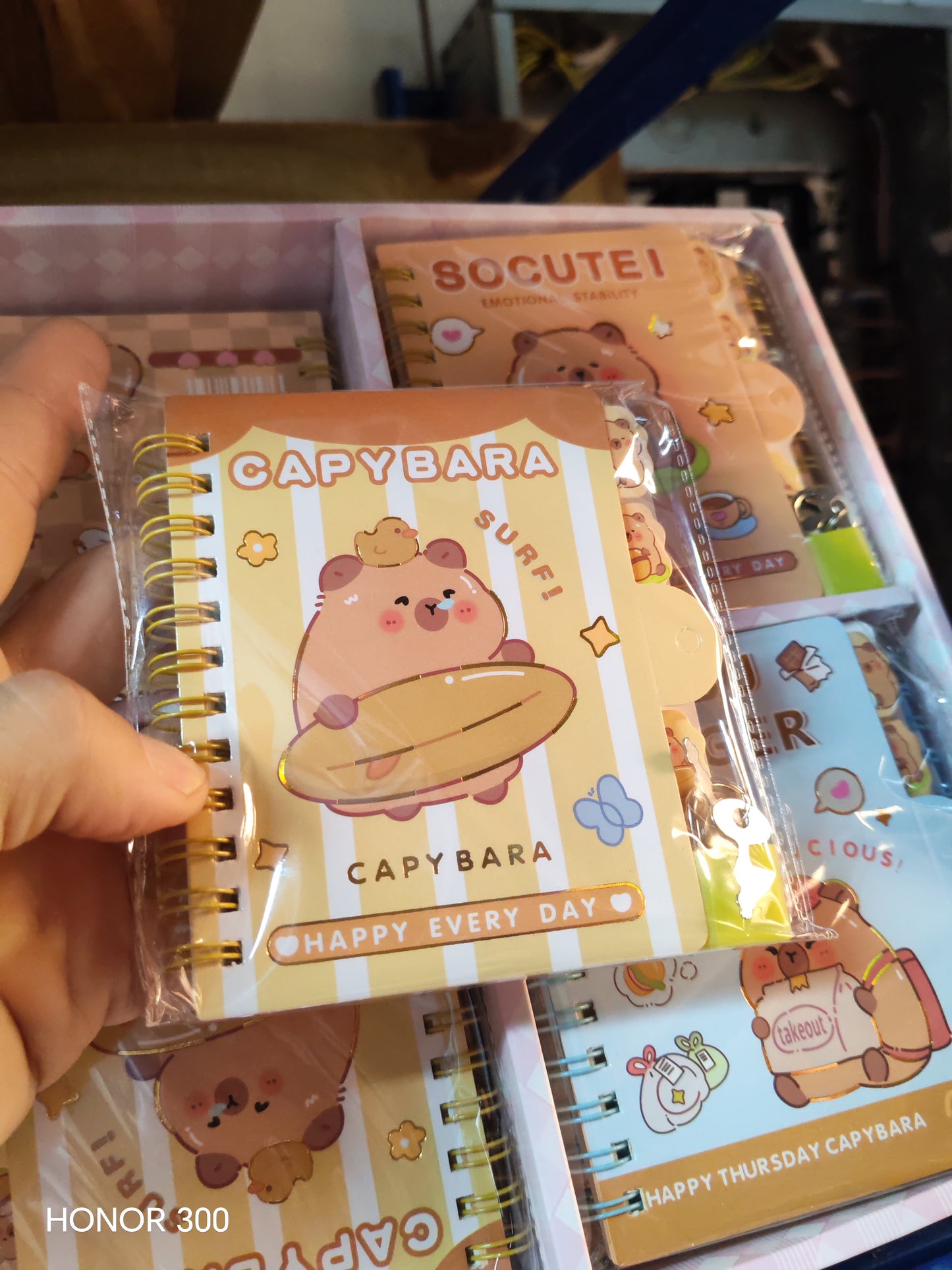 W158 - MINI DIARY CAPYBARA (1 PIECE)