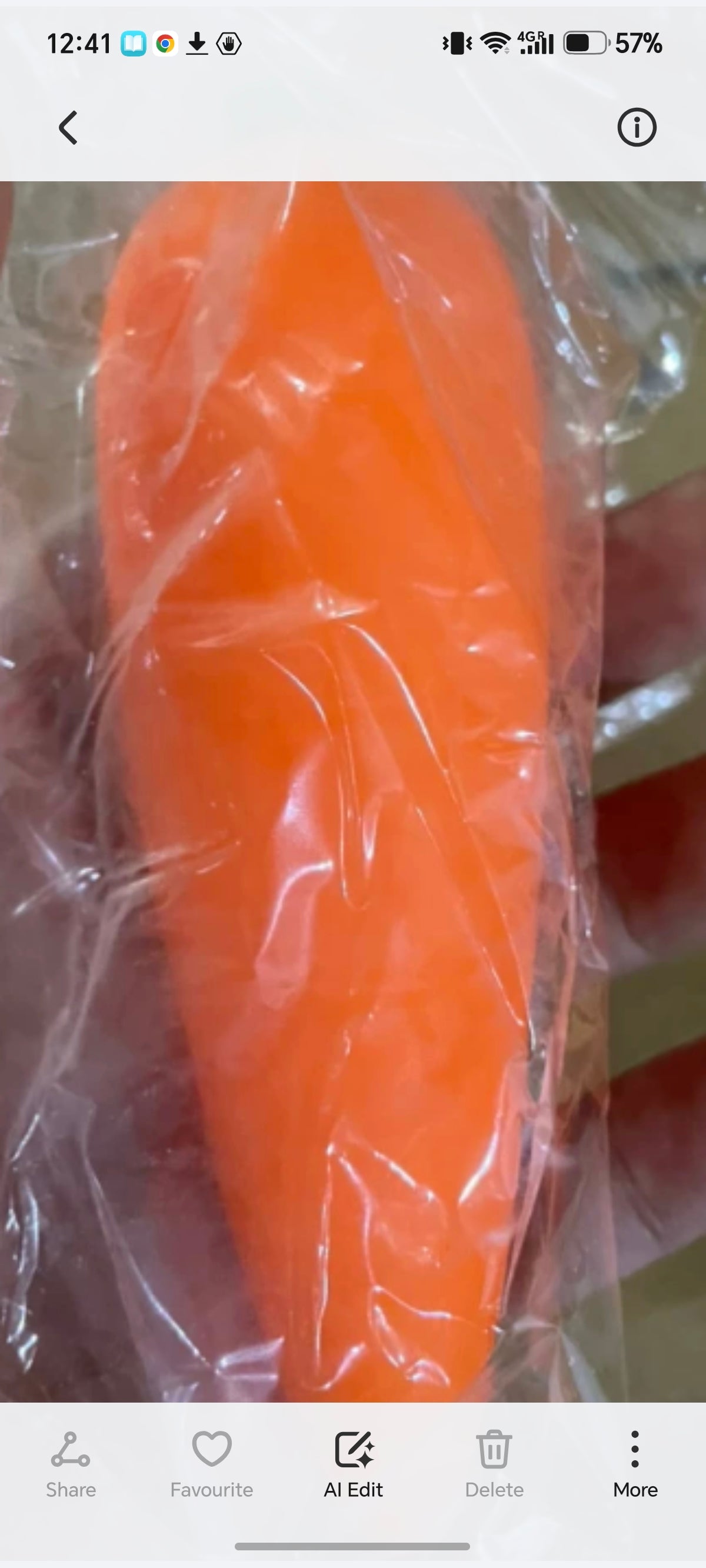 E161- Carrot Squishy