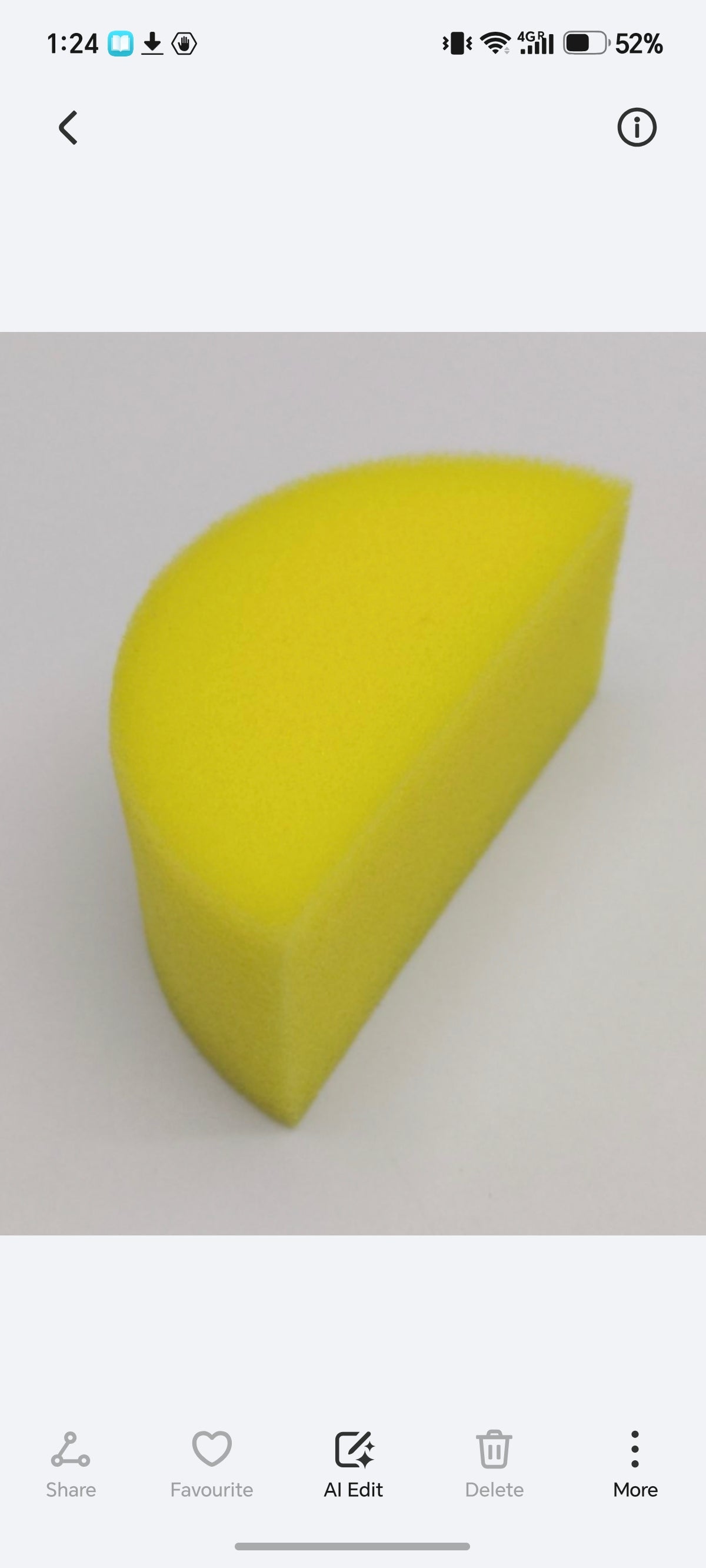E318- sponge