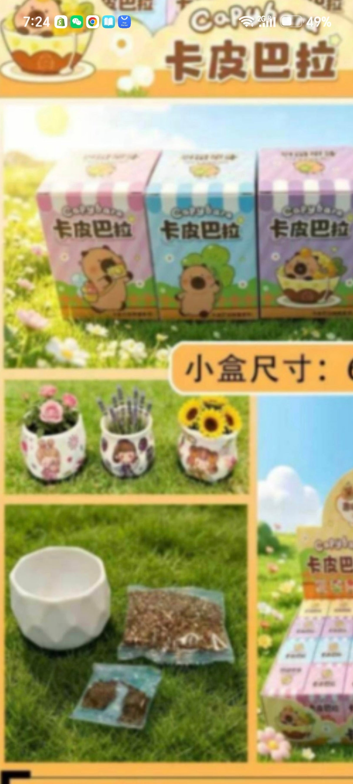 E121-Diy flowers with Mini Pot (Grow your own Flowers Garden) (24 PCs box $120)