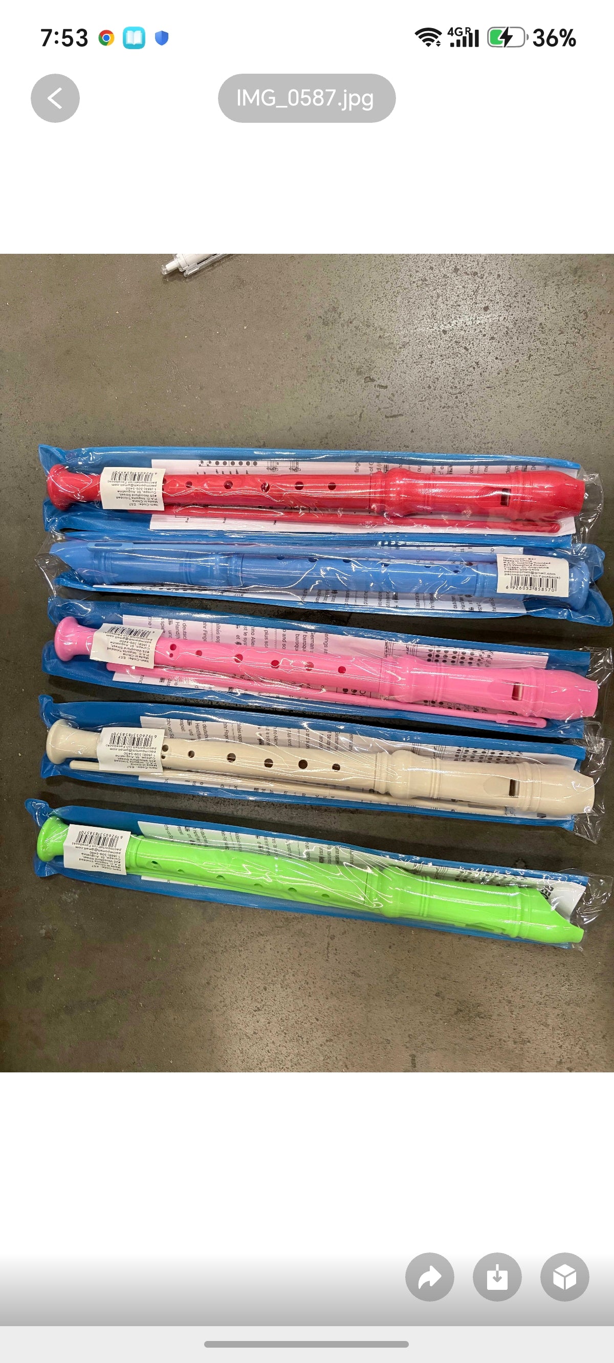 E57-Music Flute Recorder(1pc)