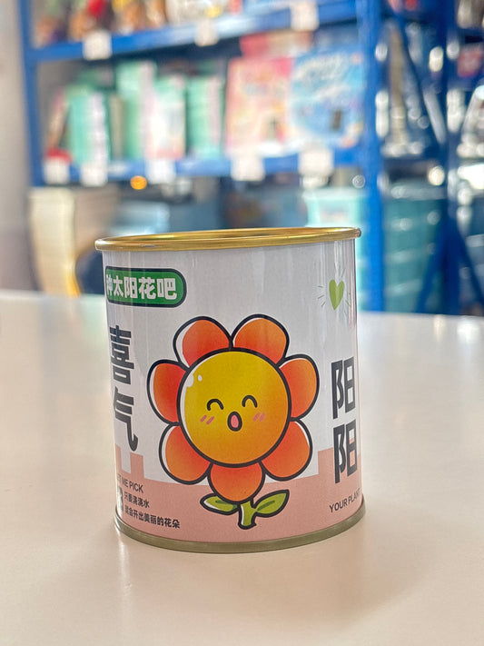E60 - Purslane Flower Planting Set in Tin (1pc)