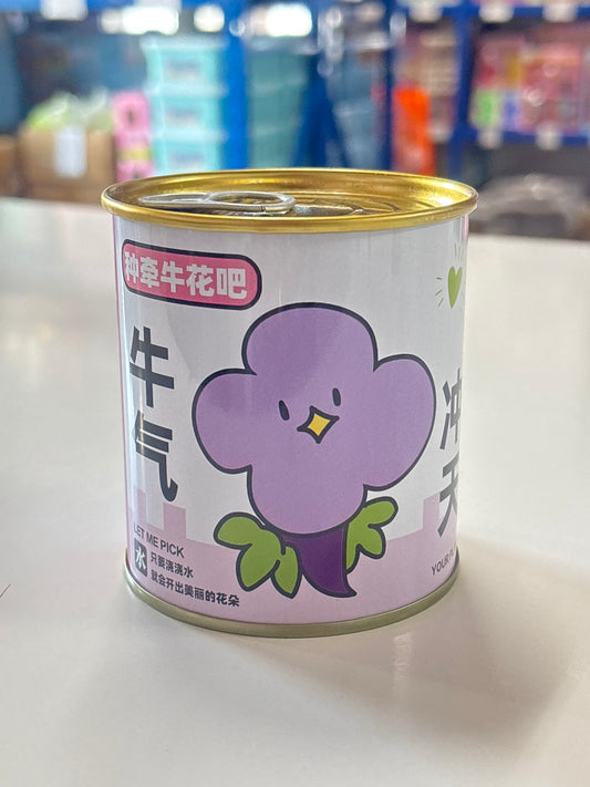 E60 - M-Glory Flower Planting Kit in Tin (1pc)