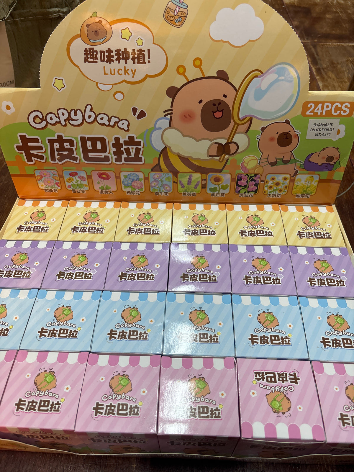 E121- DIY flowers with Mini Pot (Grow your own Flowers Garden) (24 PCs box $168)