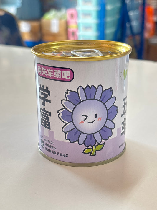 E60 - Cornflower Planting Set in Tin (1pc)
