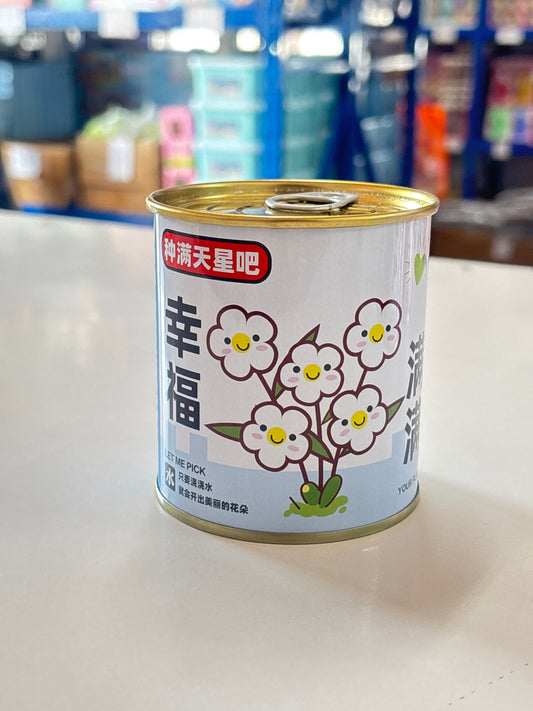 E60 - Baby’s Breath Flower Planting Kit in Tin (1pc)