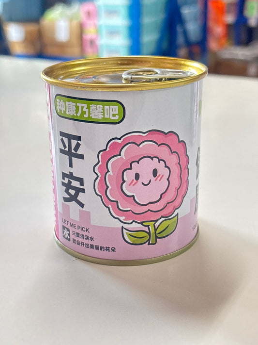 E60 - Carnation Flower Planting Kit in Tin (1pc)