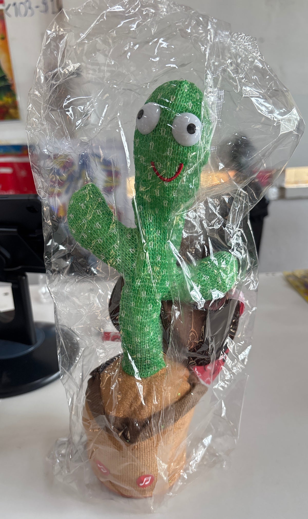 E502- Dancing Cactus