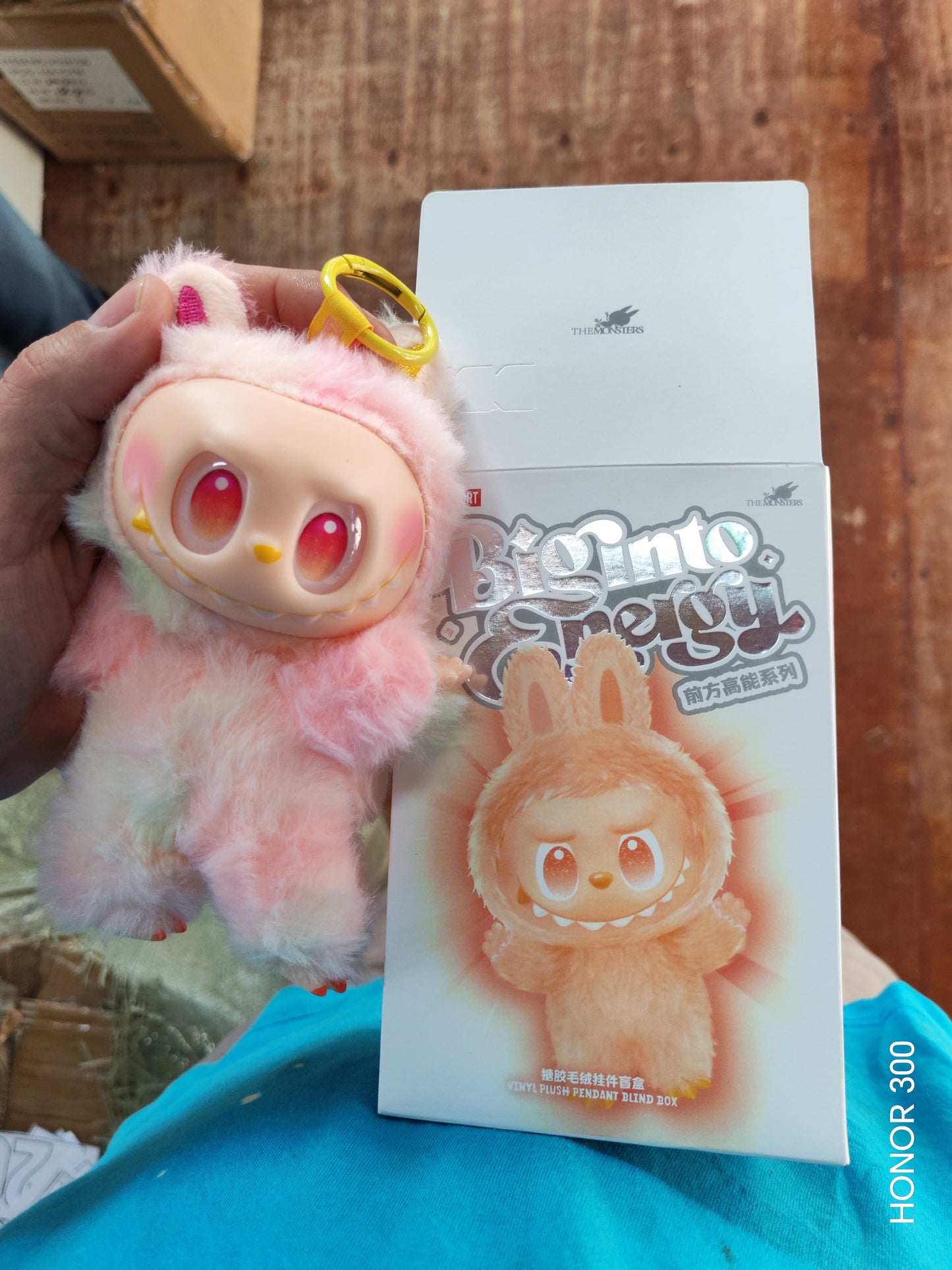 W720 - LABUBU SURPRISE BOX