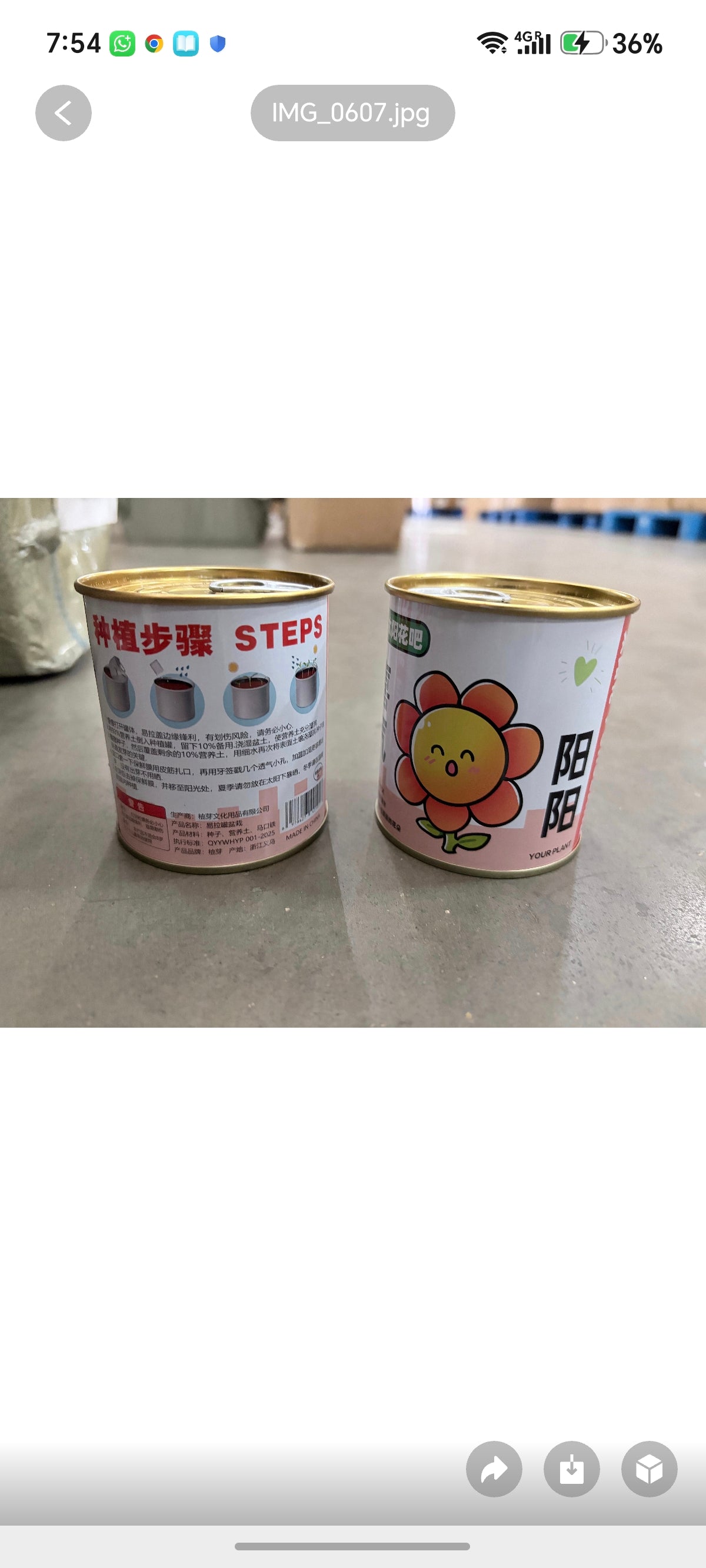 E60-Diy Fruits and Flowers Mix Tin ( grow your own)adult supervision sharp edge when opening Tin. (1pc)