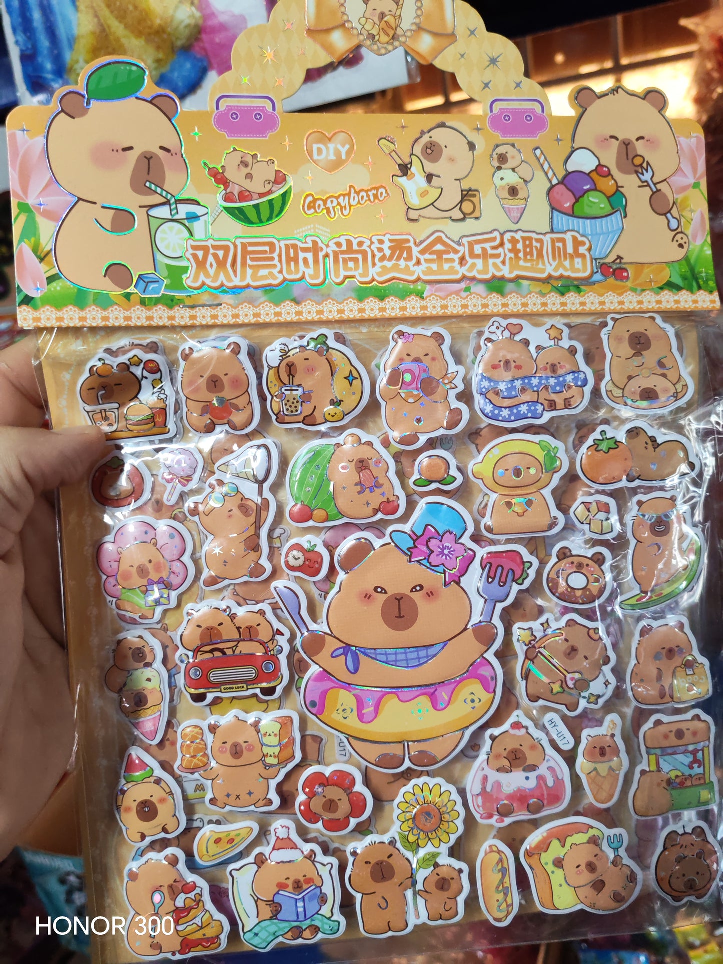 W148 - KUMI/CAPYBARA STICKERS