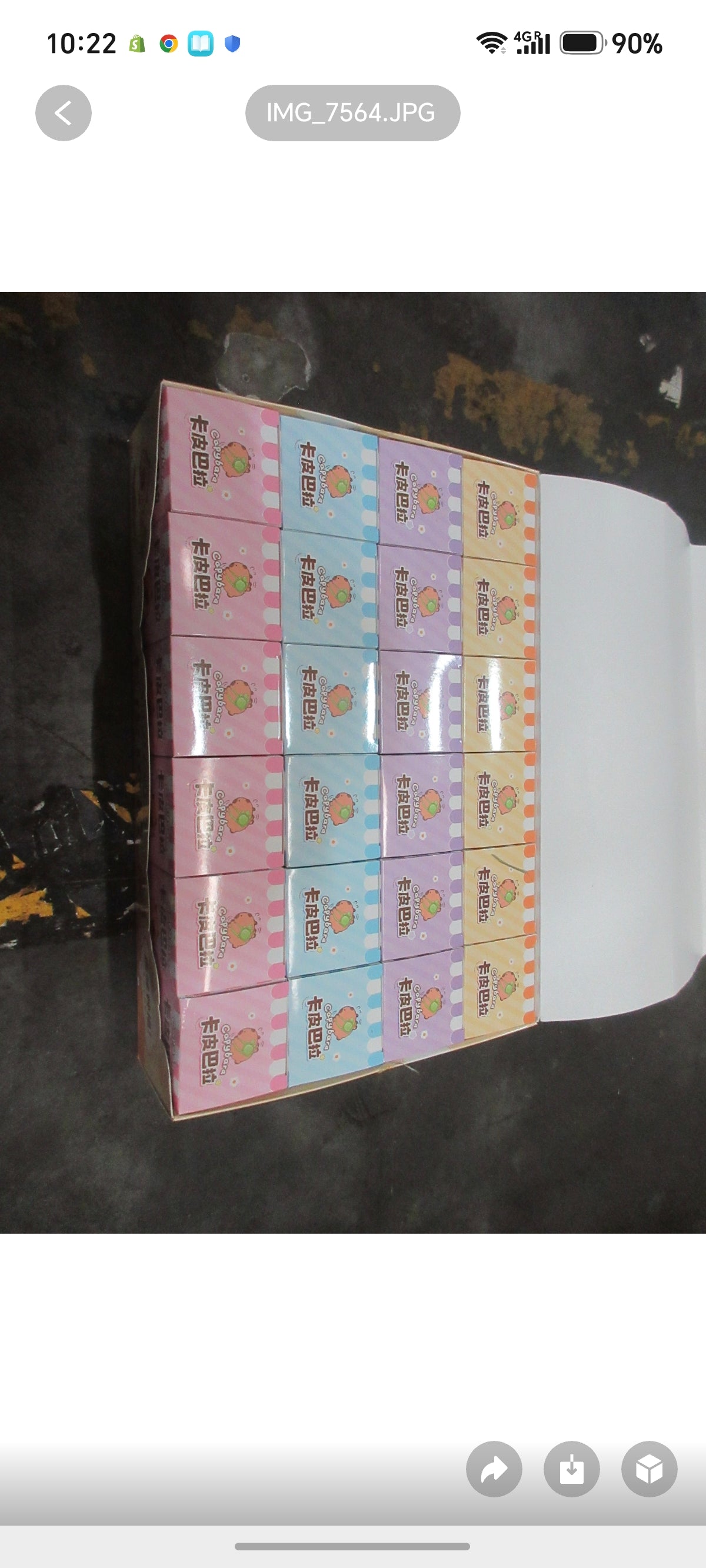 E121-Diy flowers with Mini Pot (Grow your own Flowers Garden) (24 PCs box $120)
