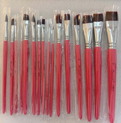 E312- 17PC BRUSH SET