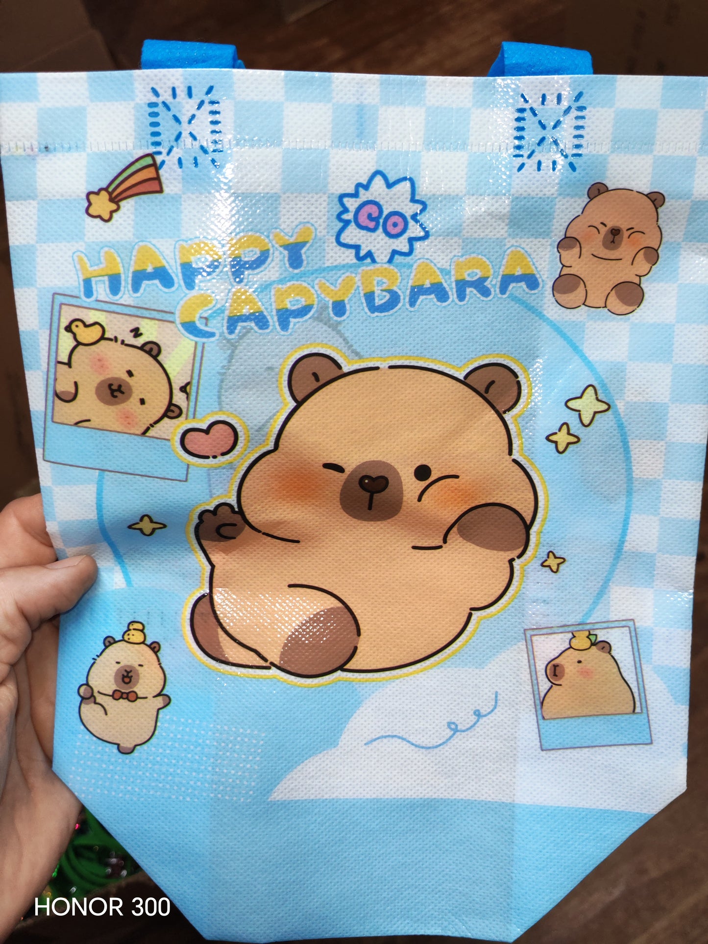 REUSEABLE PARTY BAG - CAPYBARA -BLUE