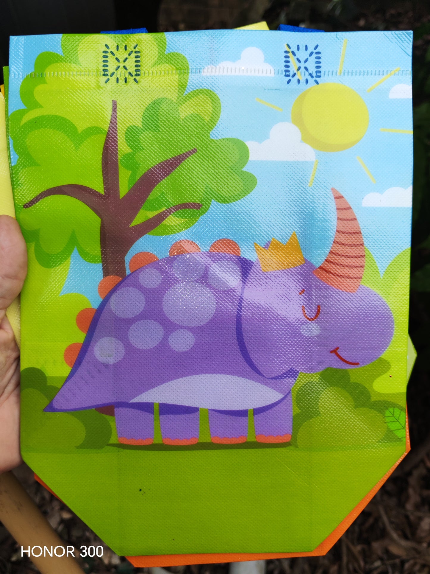 REUSEABLE PARTY BAG - DINO - GREEN