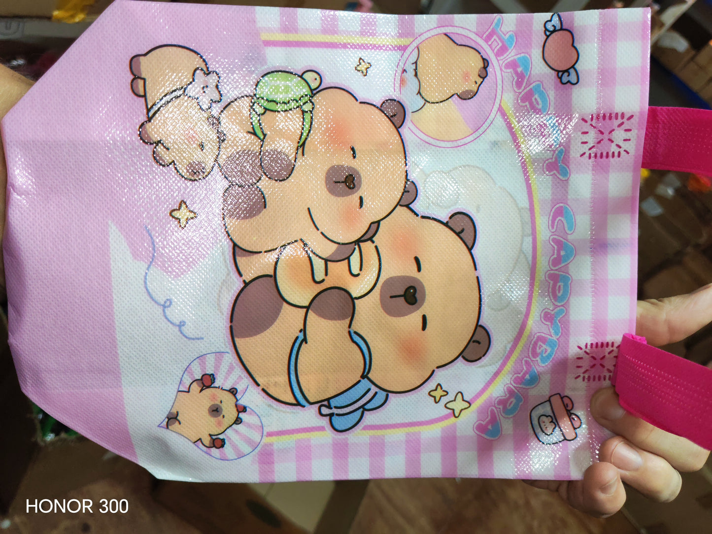 REUSEABLE PARTY BAG - CAPYBARA - PINK