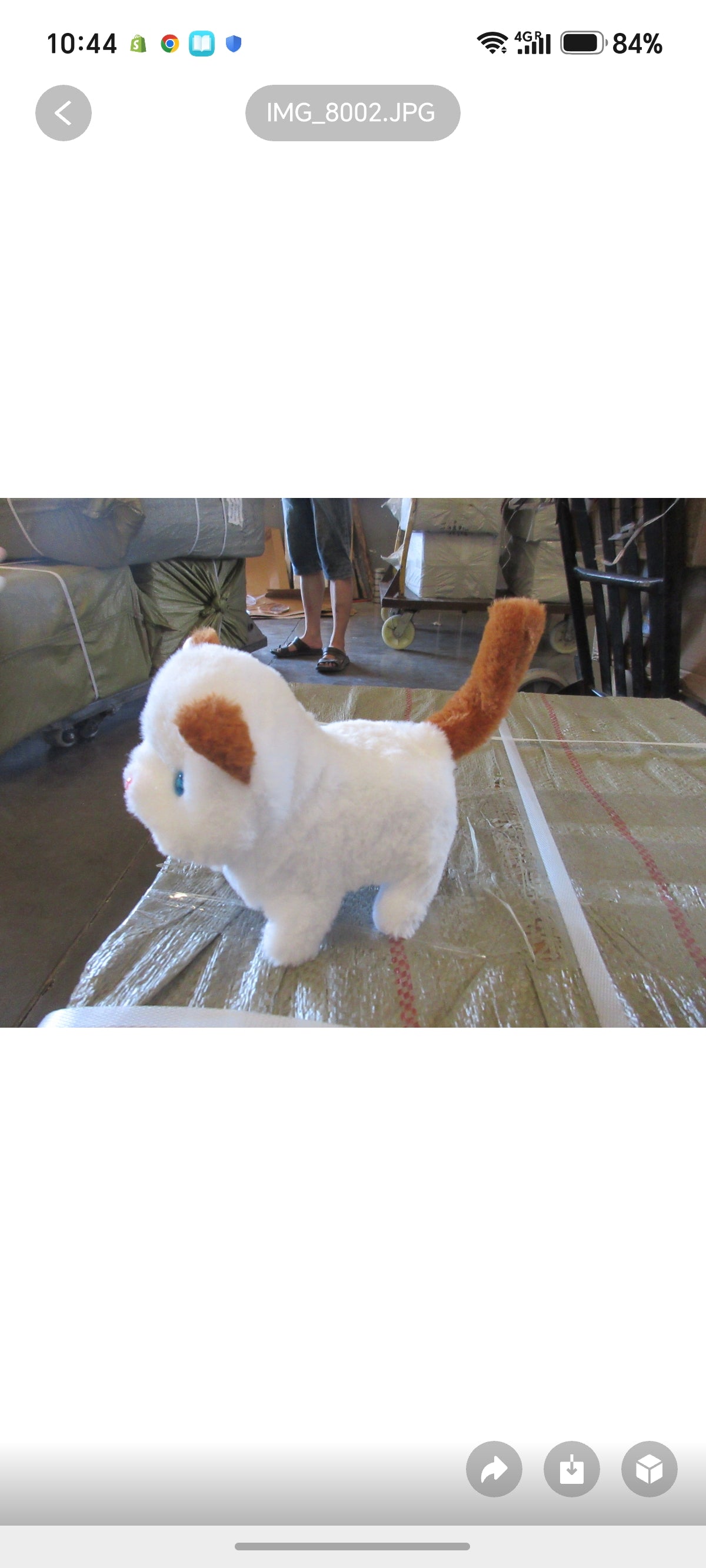 E402- Cat Walks Meow light