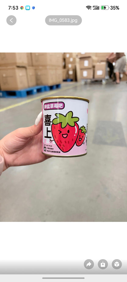 E59-Diy Strawberry plant Tin Set(grow your own Strawberry)(1pc) adult supervision Sharpe edge when Tin open.