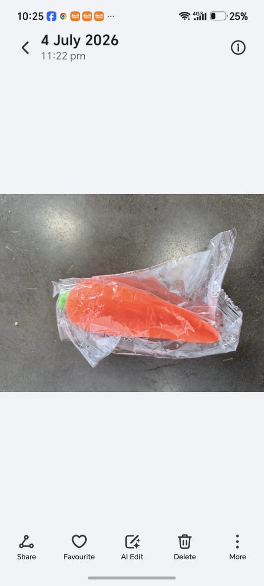 E161- Carrot Squishy(12PCs box$120)