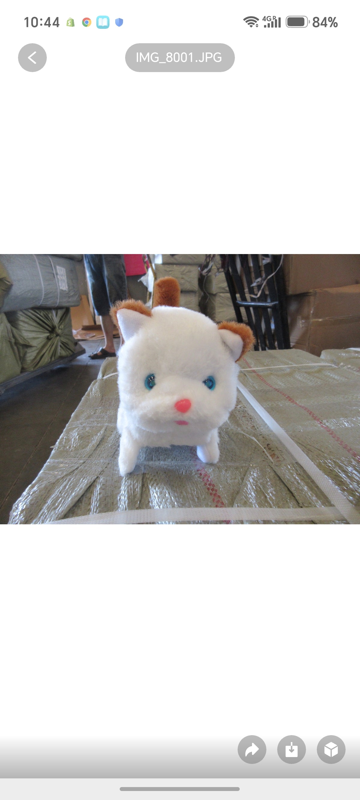 E402- Cat Walks Meow light