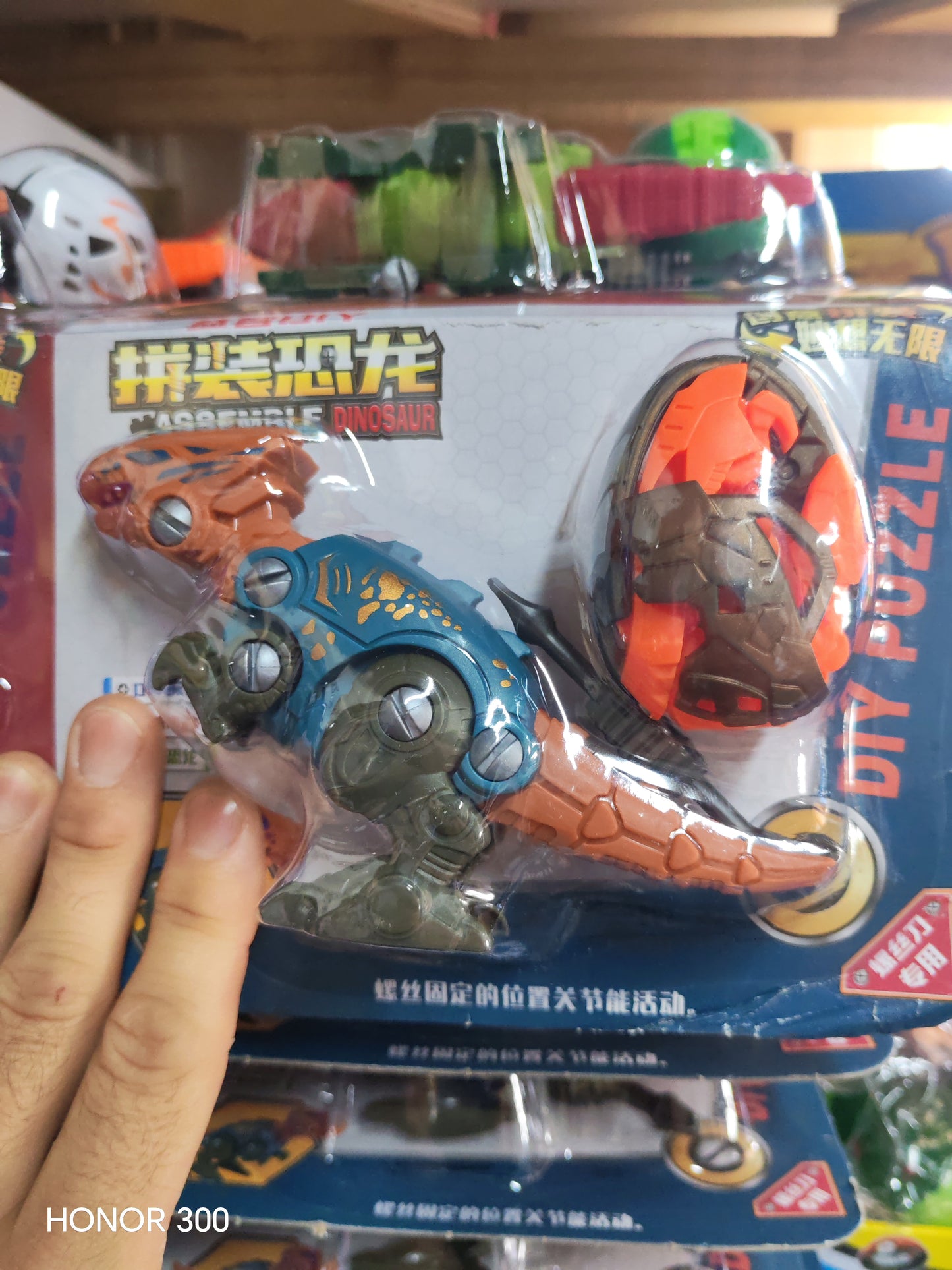 W304 - DINO TRANSFORMER