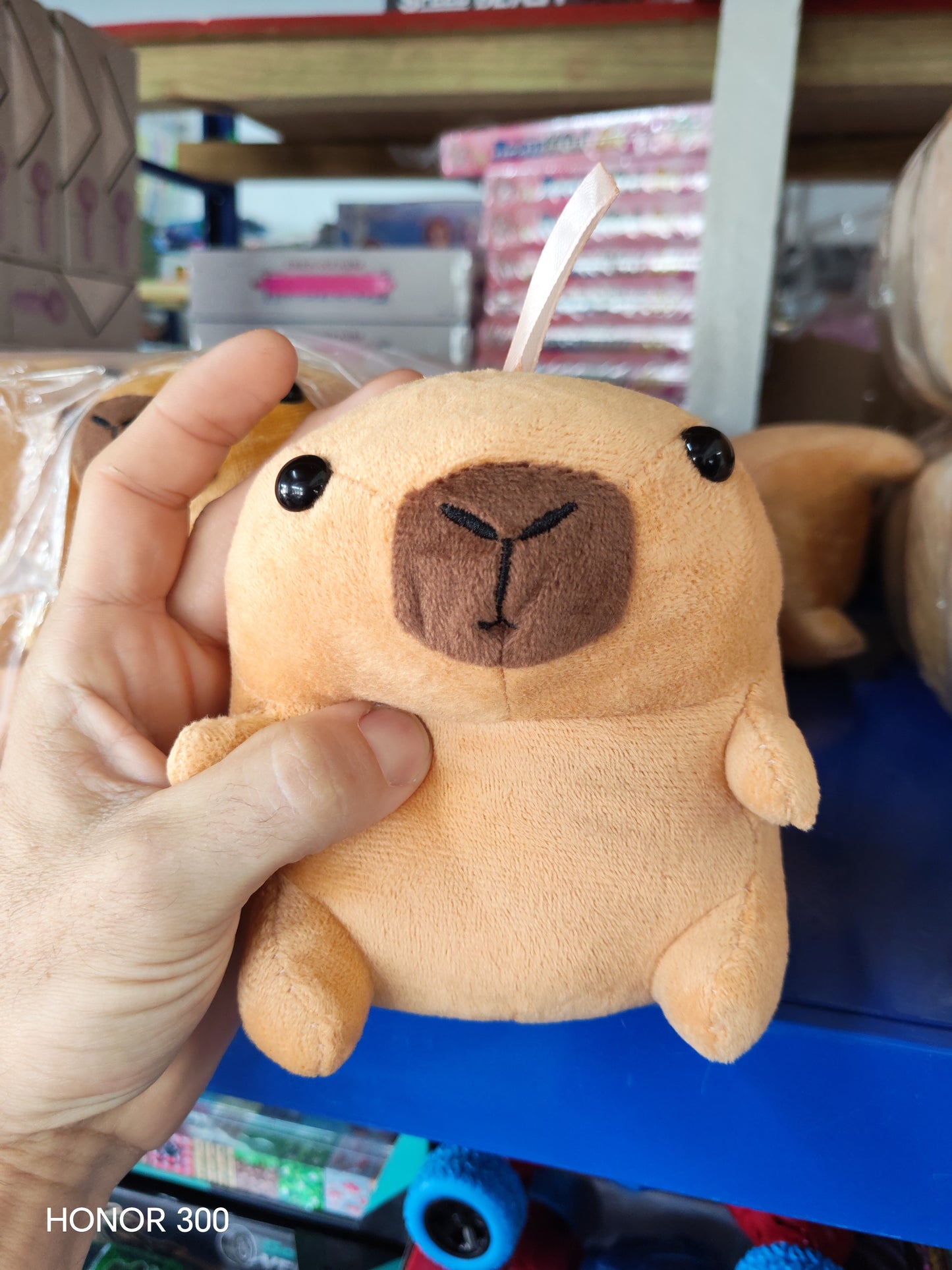 W717 - CAPYBARA STUFF TOY