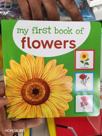 W119 - SMALL LEARNING BOOKS  - FOODS